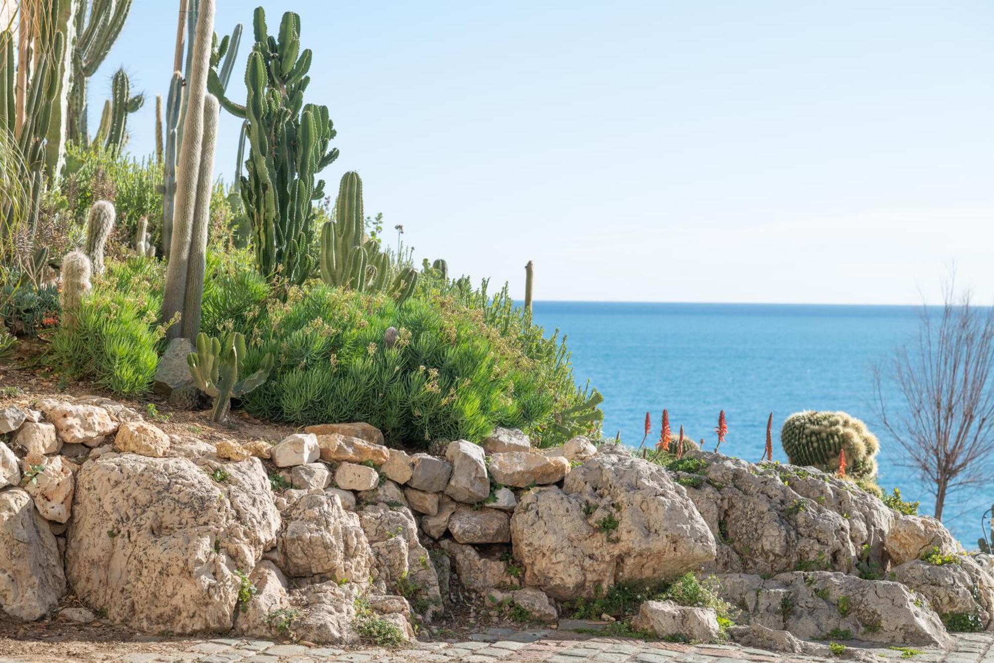 La Pablita, Vieil Antibes, Remparts Apartment Ngoại thất bức ảnh